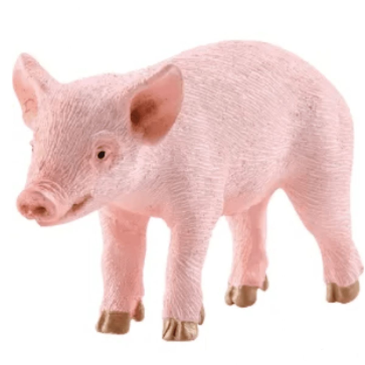 GK/13783SCH Prasiatko, stojace