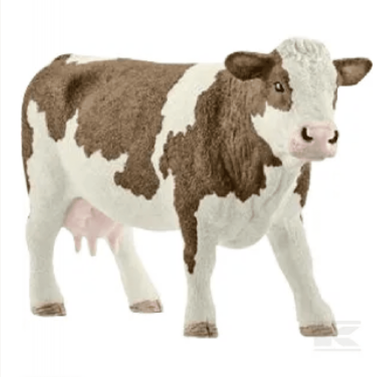GK/13801SCH Simmental cow