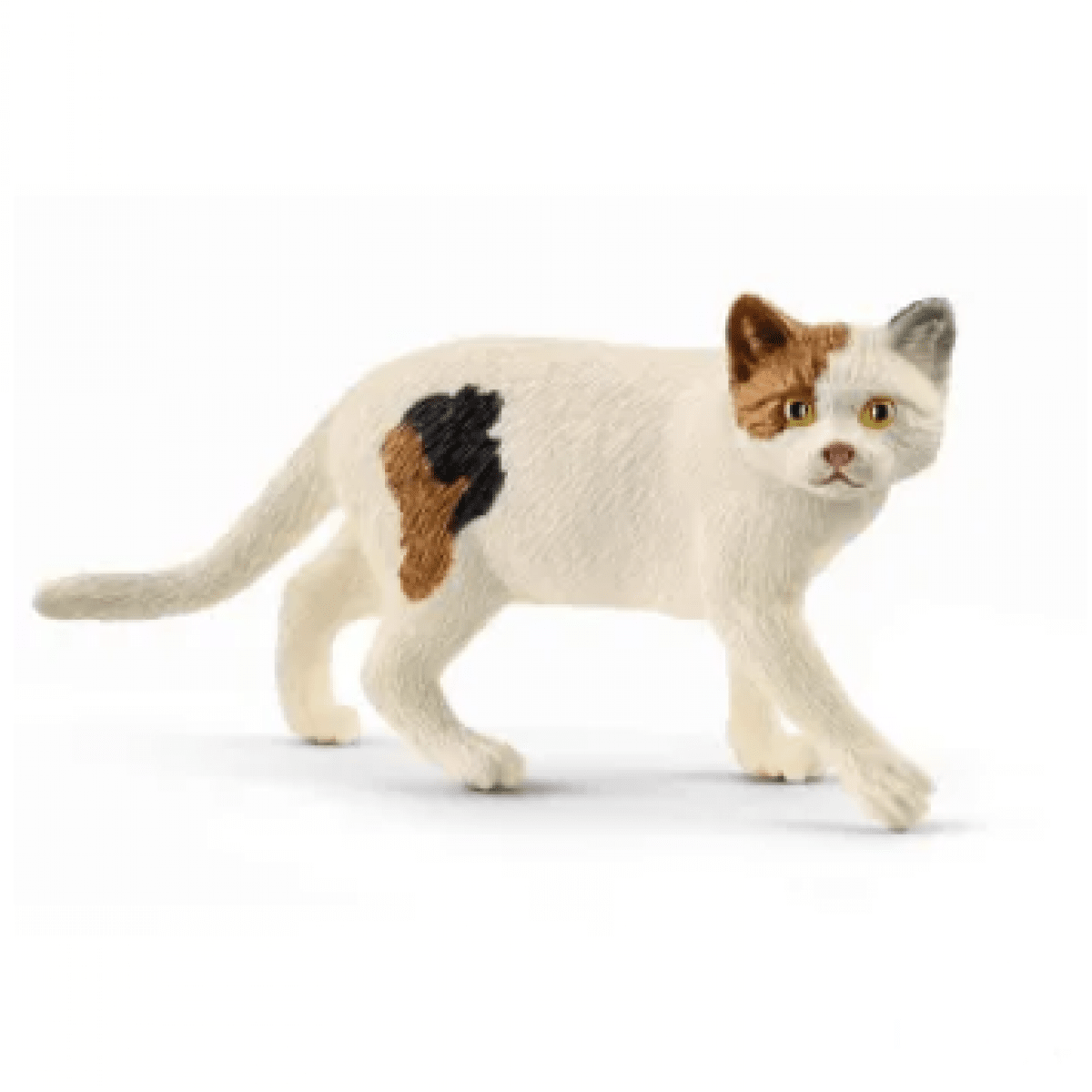 GK/13894SCH Americký krátkosrstý