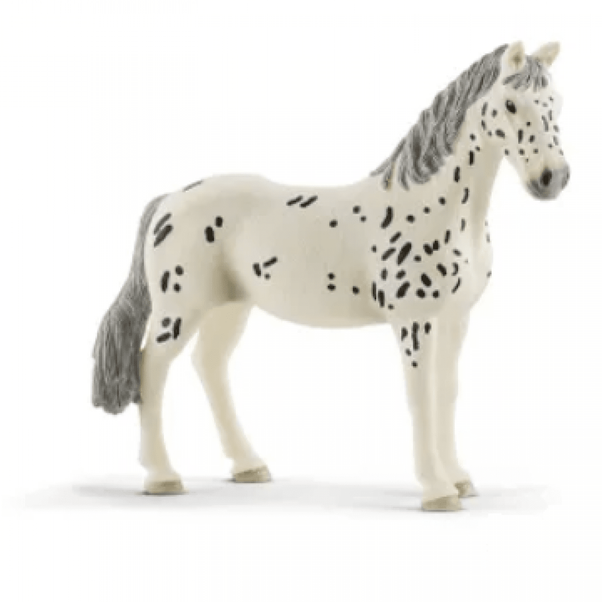 GK/13910SCH Kobyla Knabstrupper