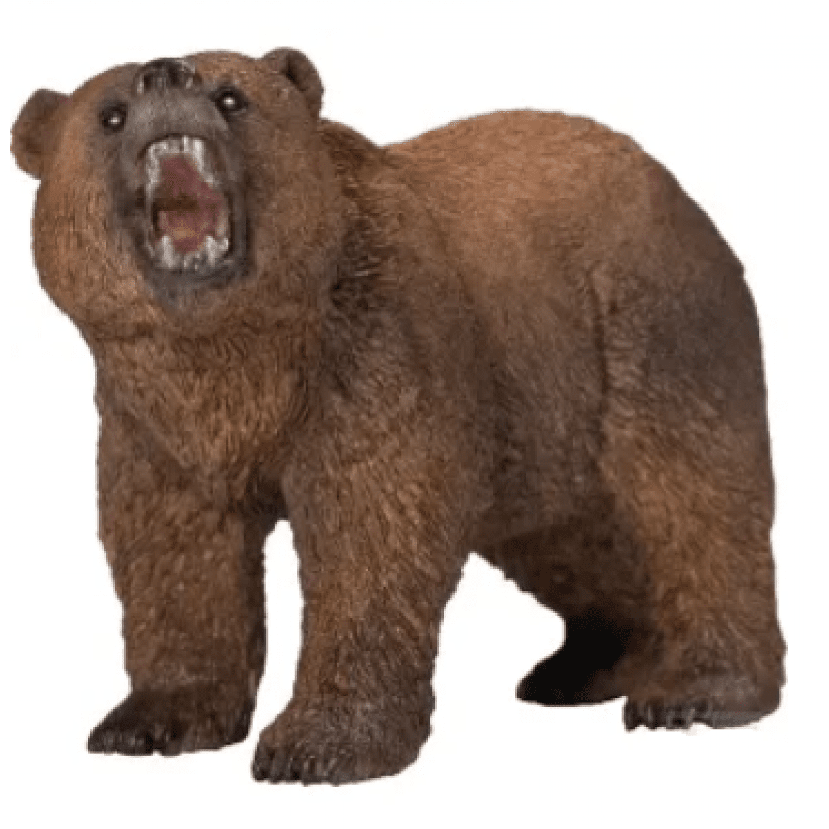 GK/14685SCH Medveď grizly