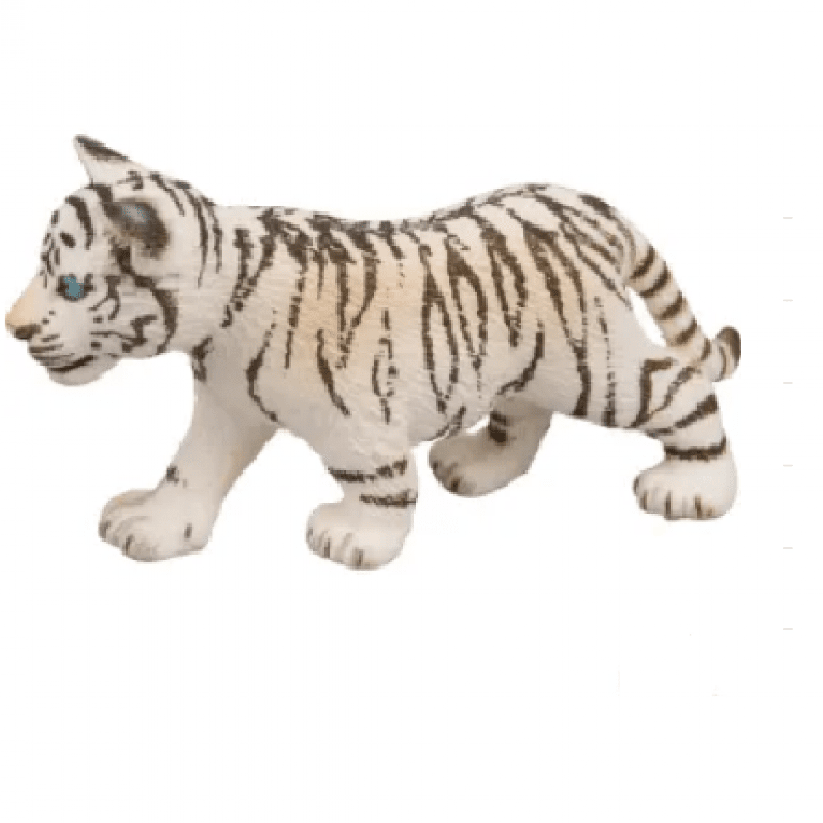 GK/14732SCH Biely tiger, mláďa