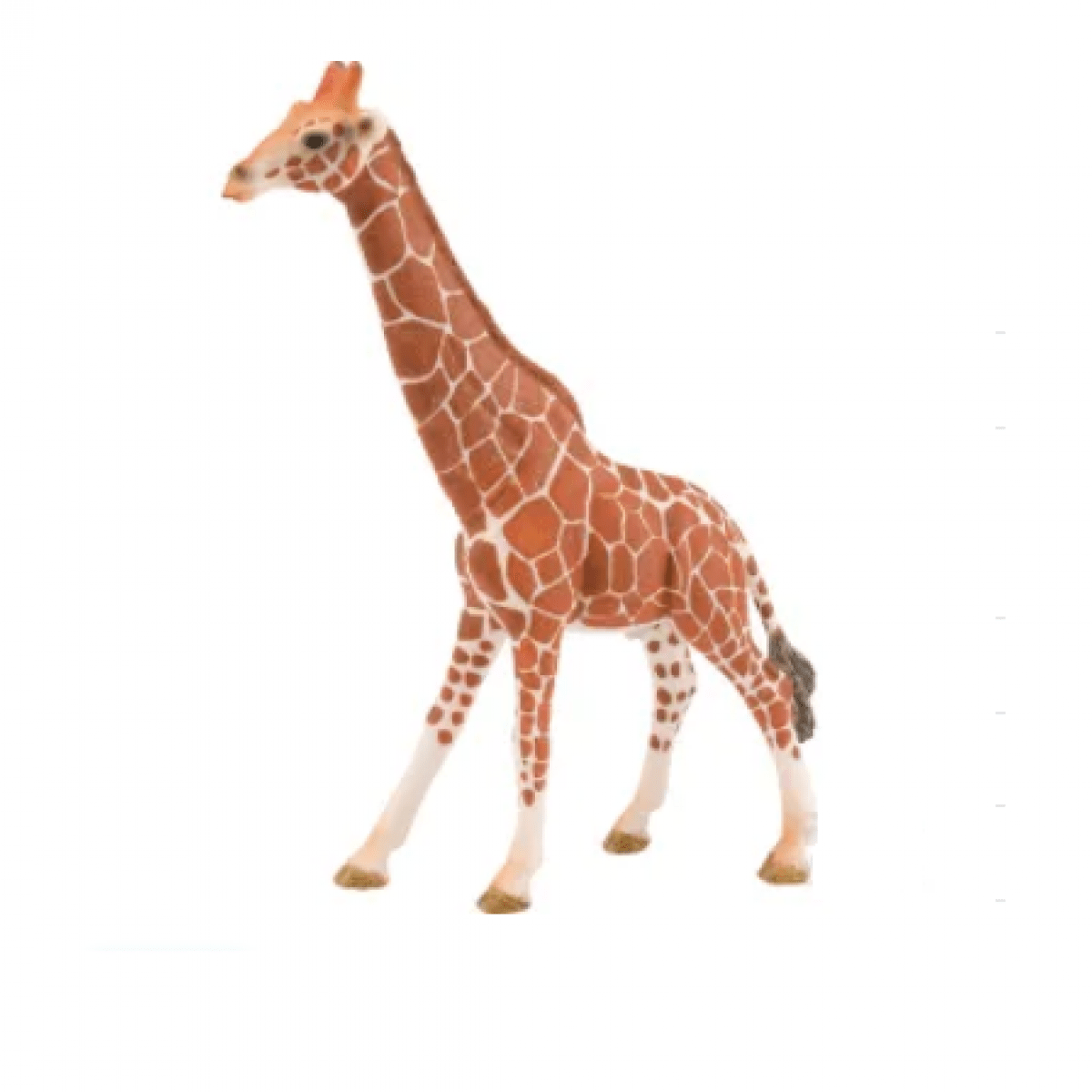 GK/14749SCH Žirafa, samec