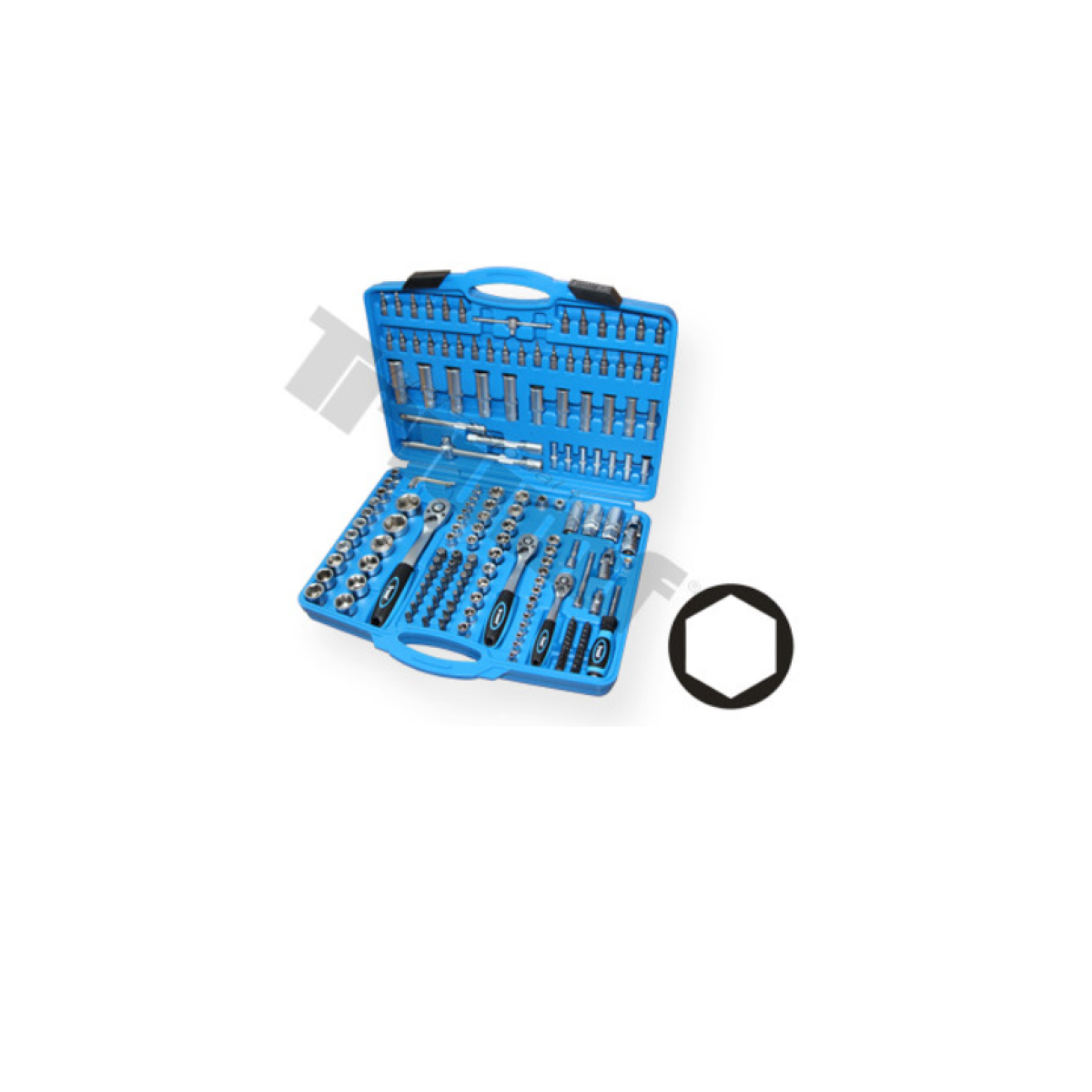 Gola sada 171 dielna 2968,27837,34065