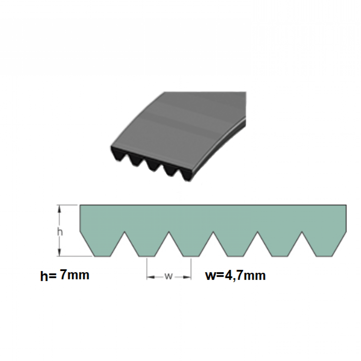 Remen 19 PL 2477 Megadyne