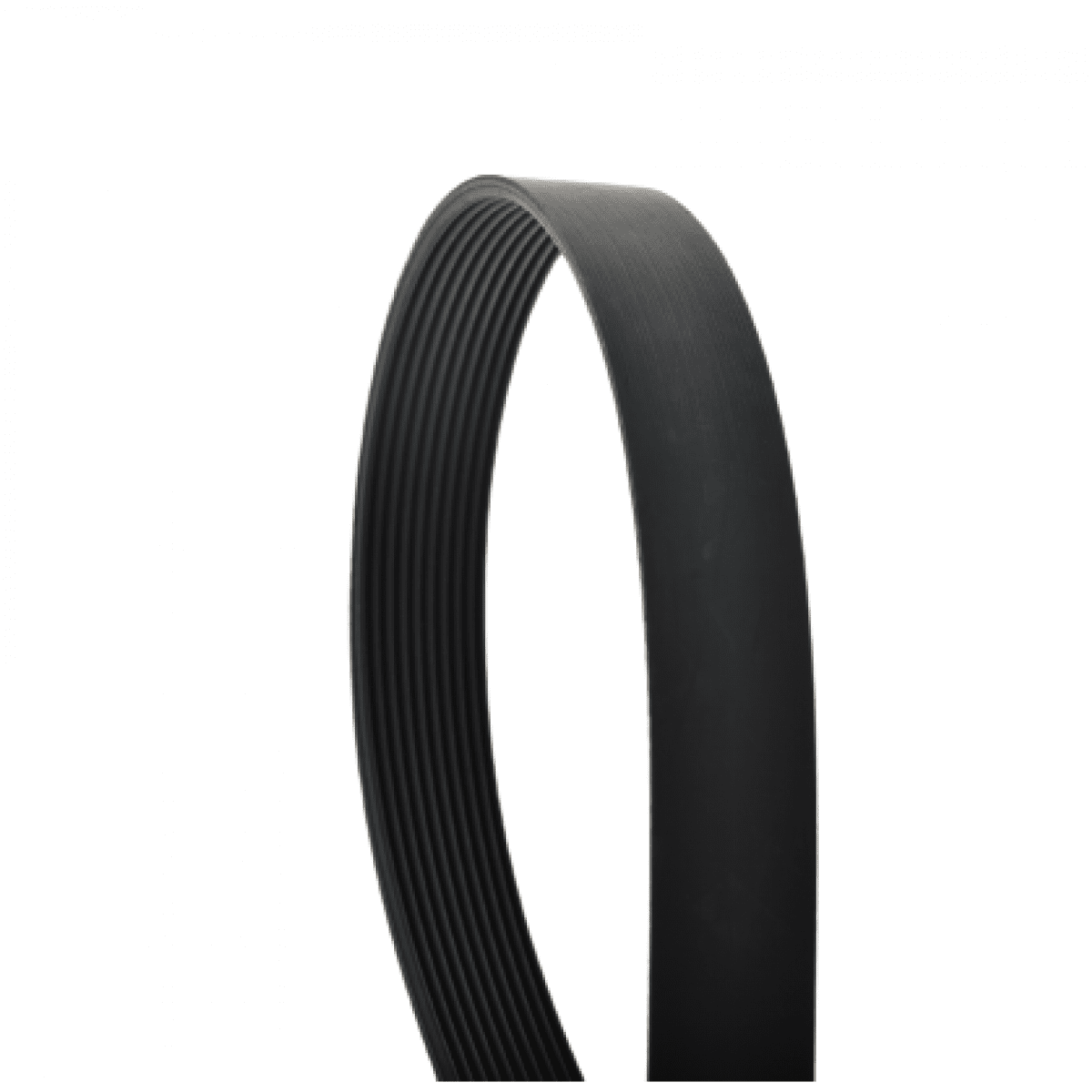 Remen 8 PK 2550 L169272