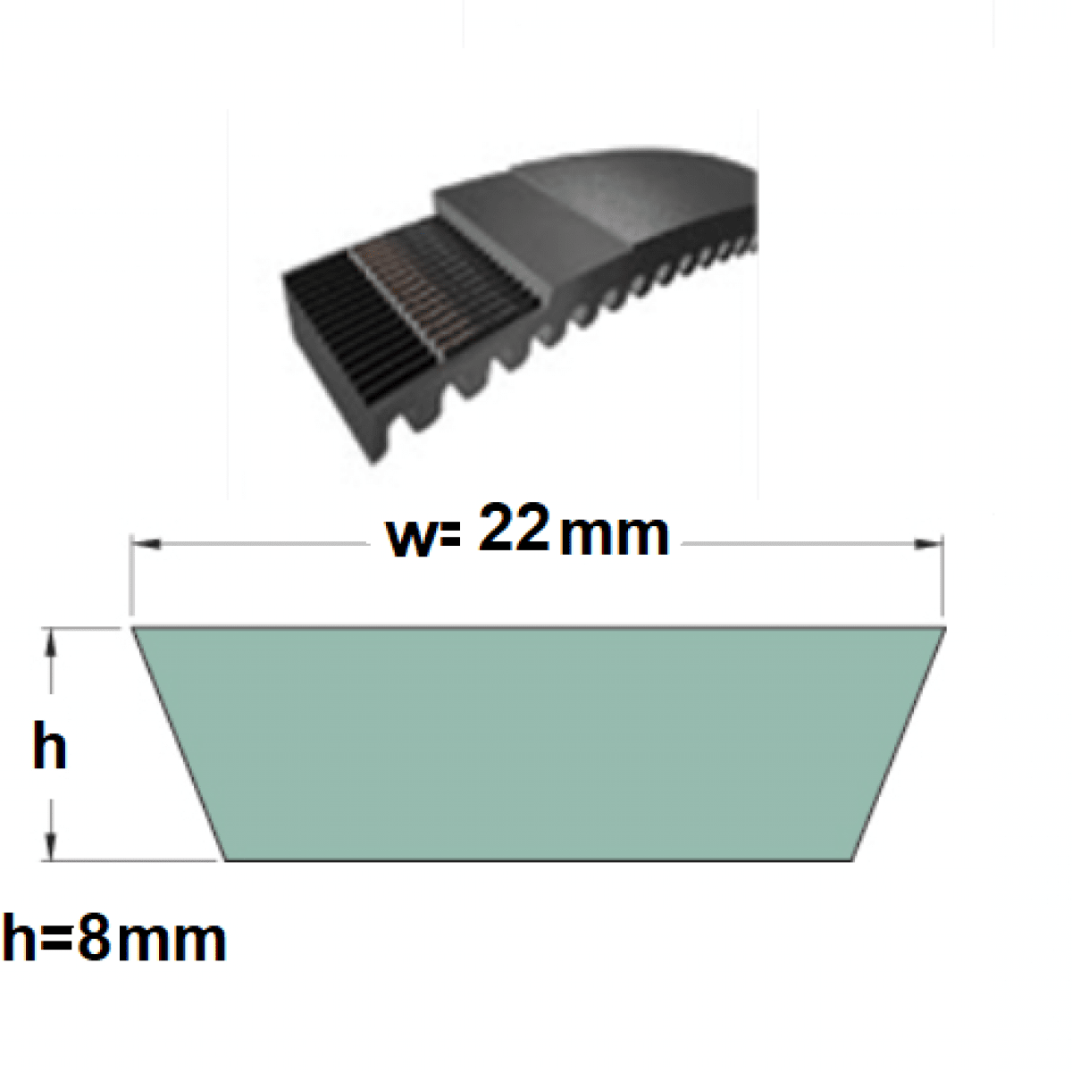 Remen VX 22x8x750 Li Optibelt, SWR