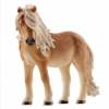 GK/13790SCH Islandský kôň, kobyla
