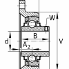RCJTY 30 - INA