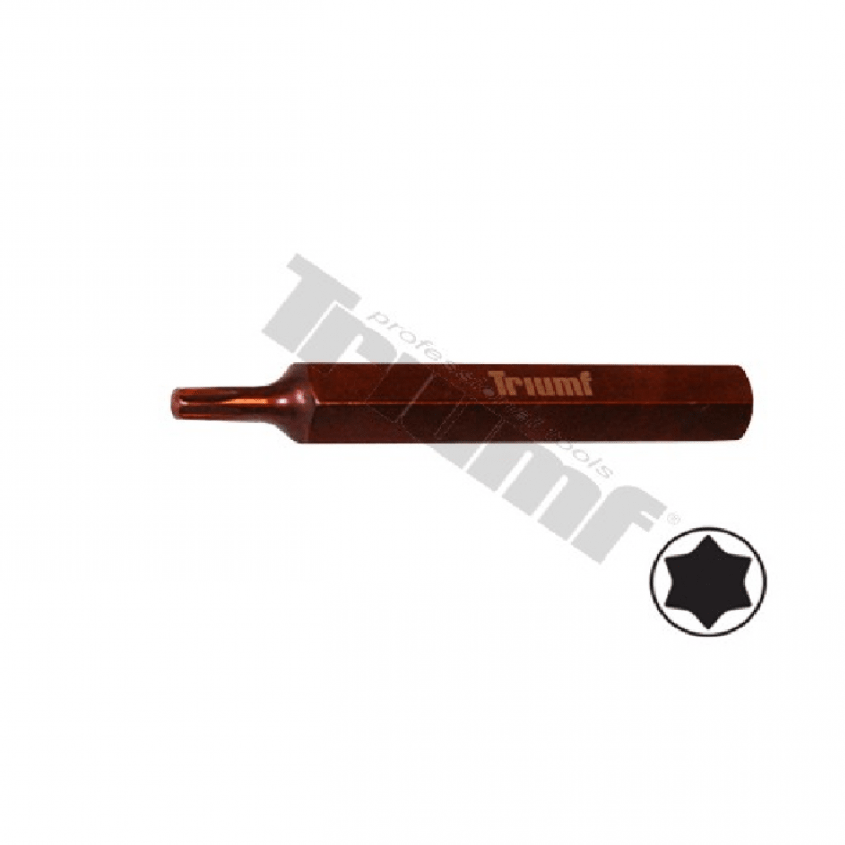 TORX BIT T50X75NEVRTANYS2 pomedený 656